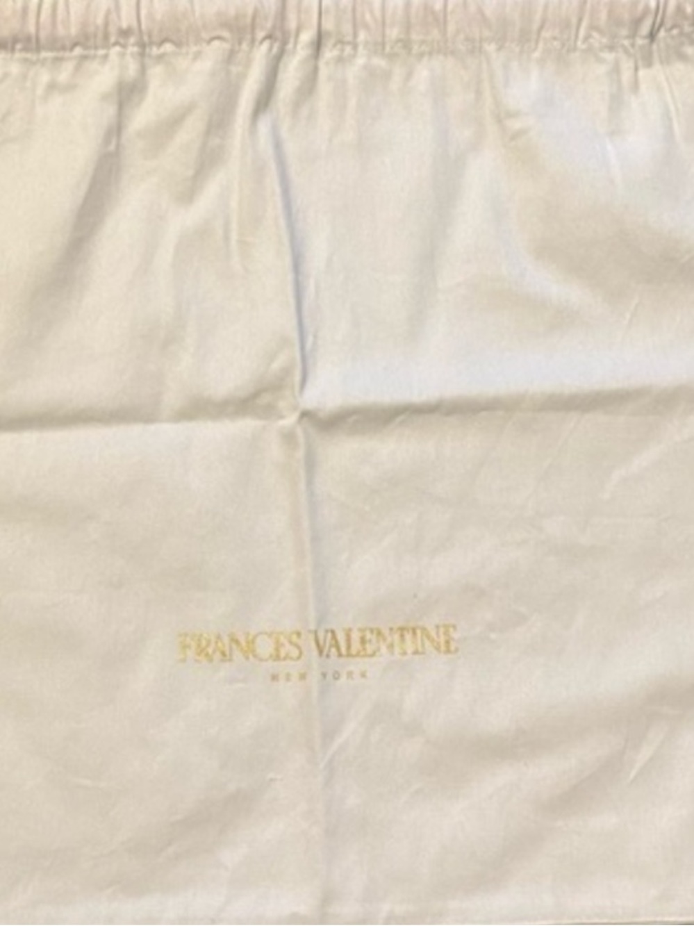NWOT Frances Valentine - New York Dust Bag